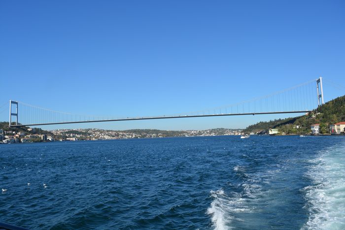 image-.jpg