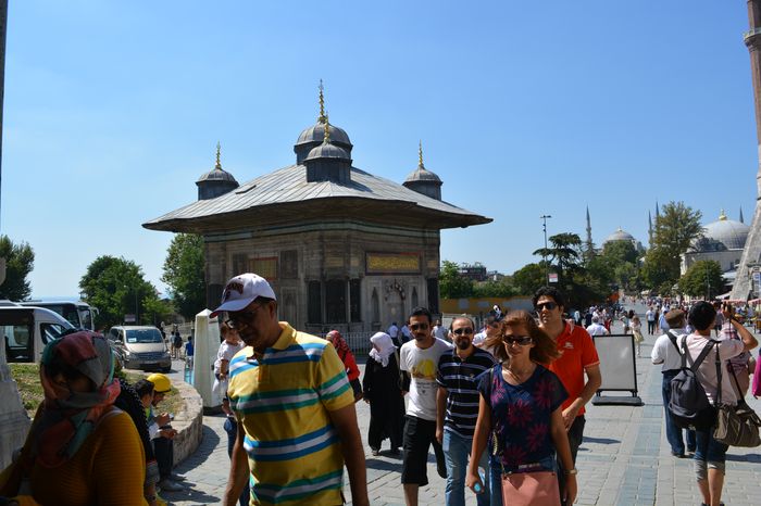 image-.jpg