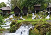 Two Sides of a Controversial Sultan