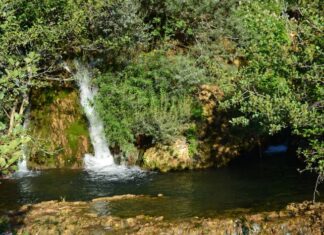 General Grant’s Lasting Legacy and the Hidden World of the Ottoman Harem