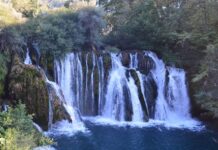 The Insider’s Revenge