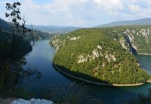 A Unique Auction Story