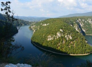 A Unique Auction Story